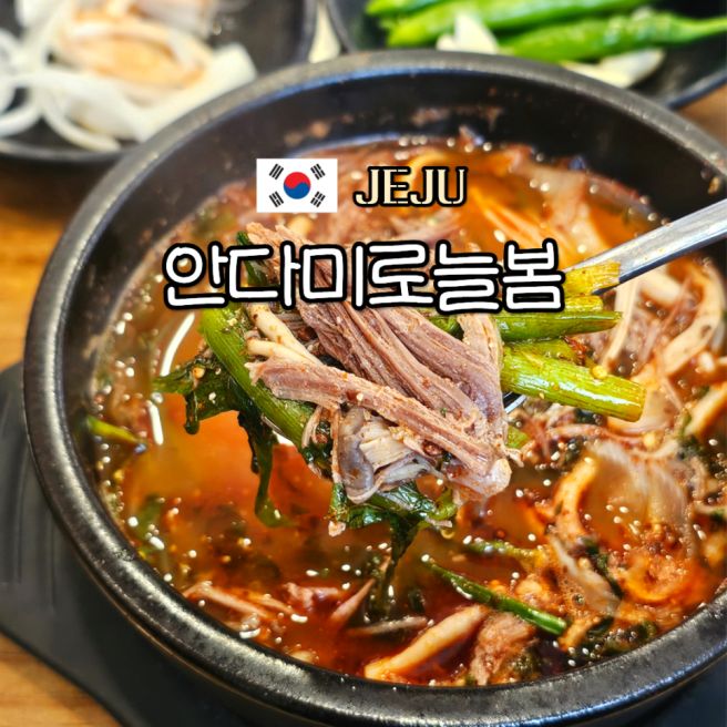 쯔양몇끼 제주 흑염소 구남동 안다미로늘봄 도민 맛집 추천