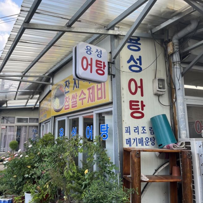 [경산/식당] 경산 현지인 맛집 “용성어탕”