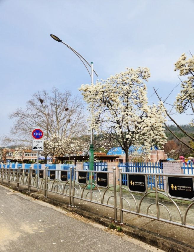 [구미] 장천 해물짬뽕 맛집 도개오복반점 초등학생 어린이 가족 가격 메뉴 후기