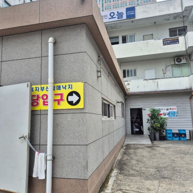 [대구] 대구 서구 두류역 맛집 낙지전골 손복자부산할매 낙지