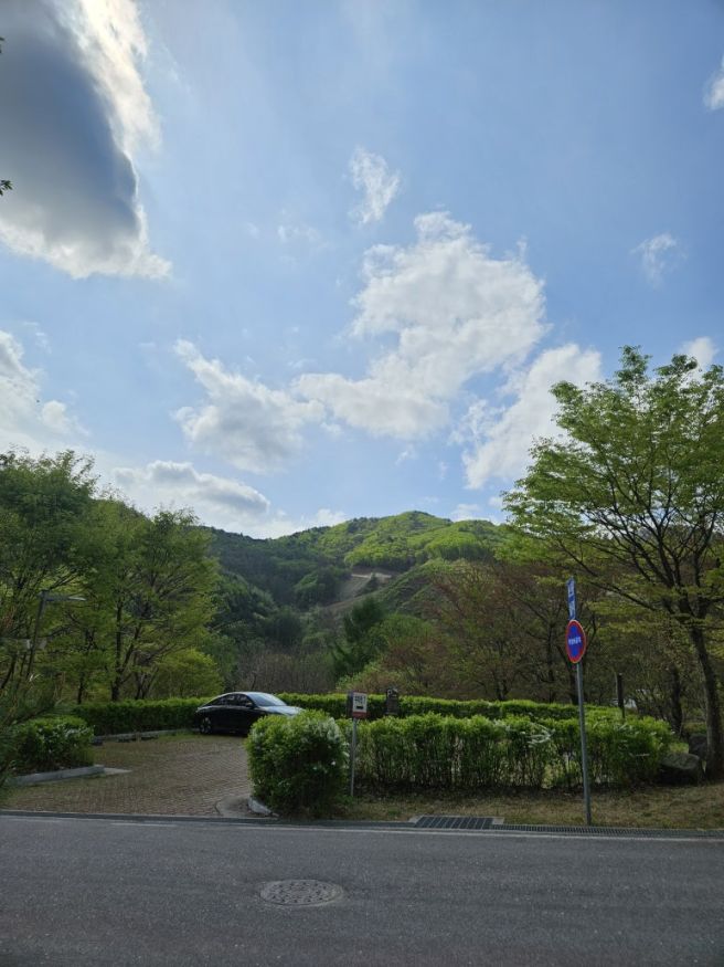 영주 1박2일 여행기록 3탄 - 여행 2일차 (국립산림...프로그램, 숲체험, 카페인더숲, 태극당,축산식육식당)