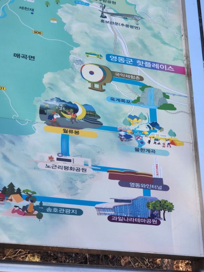 영동 여행 월류봉 강선대 맛집 안성식당