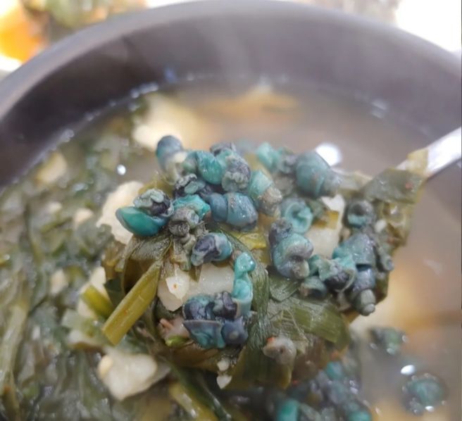 충북 영동 맛집｜60년 전통 안성식당, 현지인 맛집의 올뱅이 국밥 · 비빔밥 아침 식사