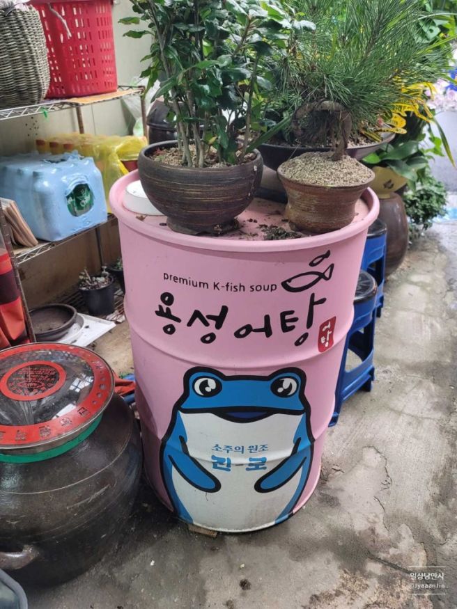 [경산 자인] 용성어탕