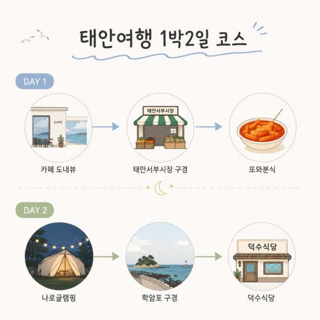 [충남]태안여행 코스 학암포 나로 글램핑+학암포어촌계+덕수식당 오픈런 웨이팅