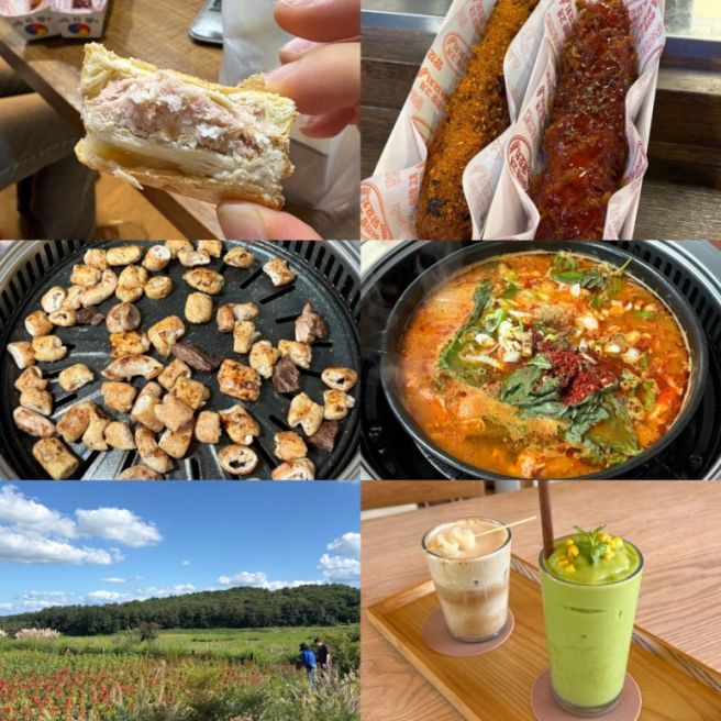 예산 당일치기 또또간집 : 할머니곱창, 백설농부, 예산시장, 아리랑고개 닭꼬치, 예산샌드 찐후기