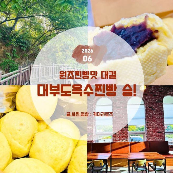 대부도옥수수찐빵 VS 심순녀안흥찐빵, 당신의 인생 찐빵은?2026 최신 가격·위치·후기