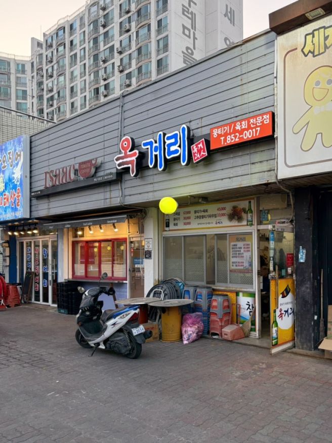 [안동] 인생 첫 뭉티기 도전, 육회 맛집 <옥거리> 솔직 후기