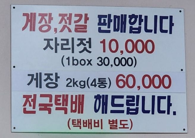 [제주 제주시 맛집] 제주도 고인물 추천 물항식당 탑동점 한치물회 갈치구이 고등어회 후기