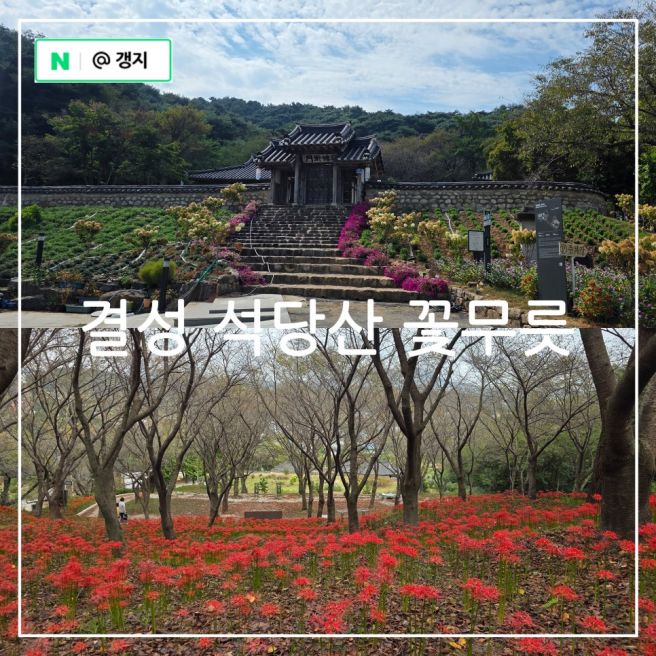 충남 가볼만한곳 홍성 가을 여행지 추천 결성읍성 석당산 꽃무릇