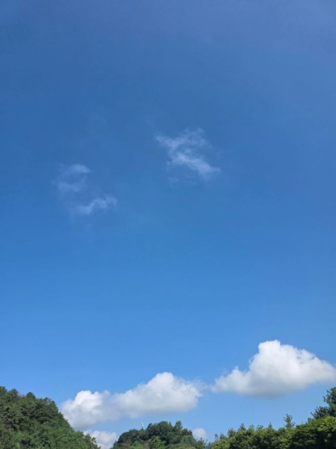 [내돈내산] 경주 어향원 후기 | 경주 현지인 맛집 블루리본 중식당 삼선홍짬뽕 유산슬밥 샤오롱바오