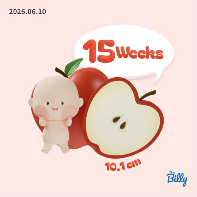 🤰🏻임신 15-17주 | 임신중기 2차기형아검사 성별확인 트립트랩구입 임산부야구장