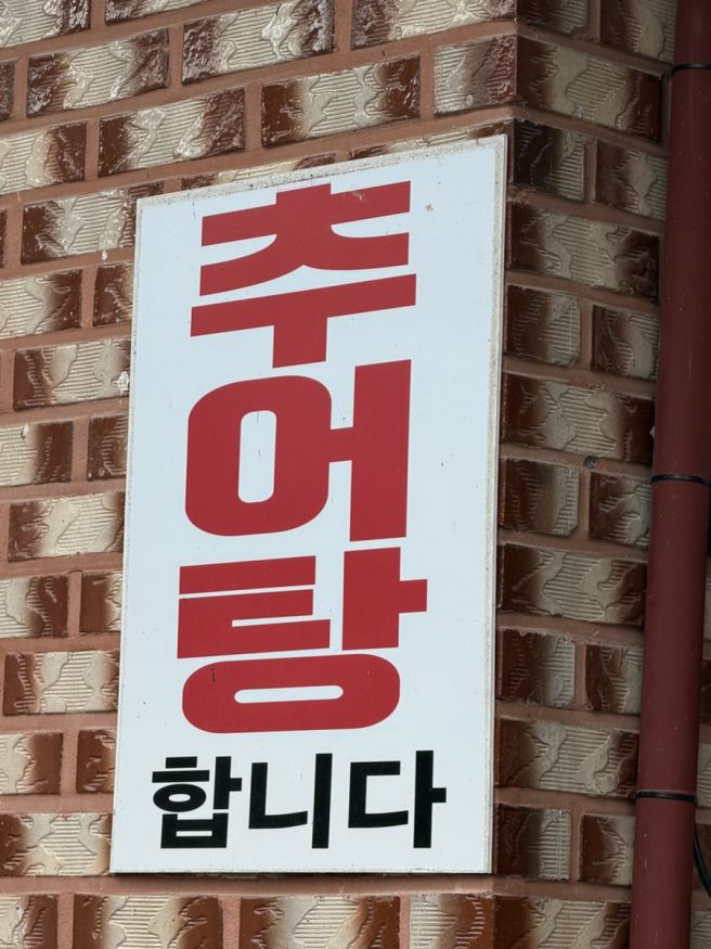 강릉 현지인 막국수 맛집 주문진 맛집 | 삼교리옛날동치미막국수
