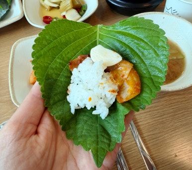 경기 김포시 고촌읍 : 직장인 점심으로 먹기 좋은 건강한 쌈밥정식 맛집 초원 한식당