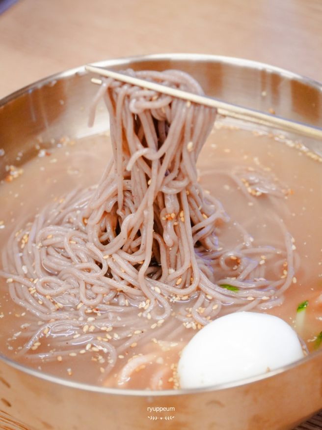 춘천 강촌 맛집 엘리시안 강촌 설악막국수 춘천닭갈비