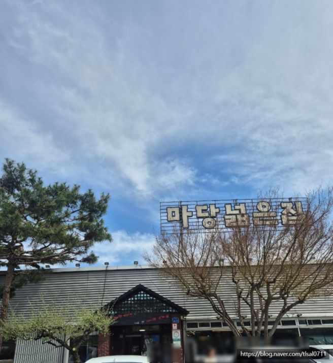 [경북맛집] 경산 반곡지 맛집 마당닭갈비 후기｜꽃구경 후 치즈닭갈비, 고양이까지 힐링 코스