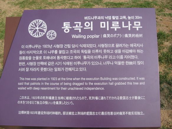 미루네 이미지