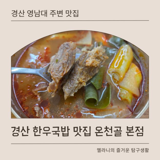 경산 영남대 한우국밥 맛집 온천골 본점