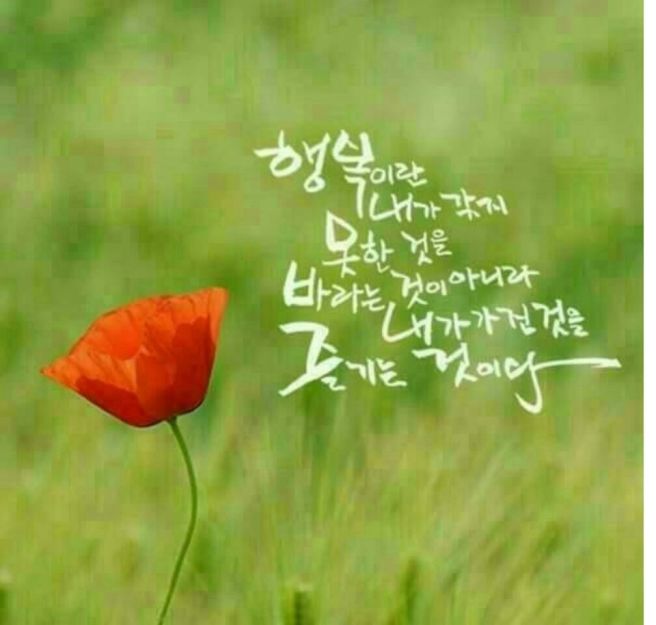 ��� �̹���