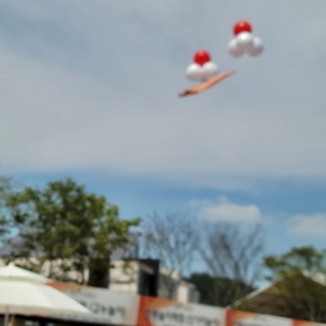 금산세계인삼축제 볼거리 체험부스 가득/저곡식당 도리뱅뱅
