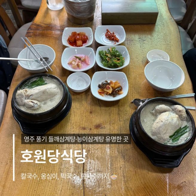 [호원당식당] 풍기 삼계탕 맛집 | 들깨삼계탕 후기 | 영주 부모님 모시고 가기 좋은 식당 | 식당...