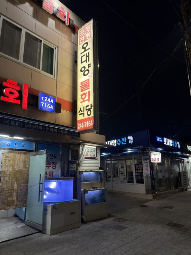 포항물회맛집 오대양물회식당에서 제대로 맛보고 온 후기