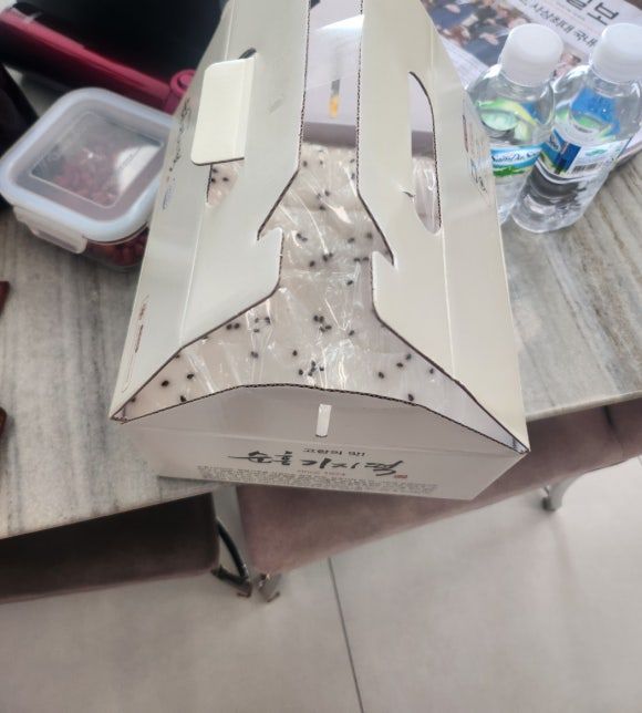 [내돈내산] 순흥기지떡 영주본점 구매후기