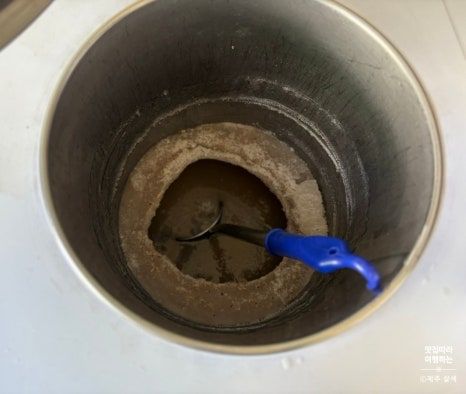 제주 로컬 직장인들이 점령한 찐맛집, 태화뷔페정식 만원의 행복 후기