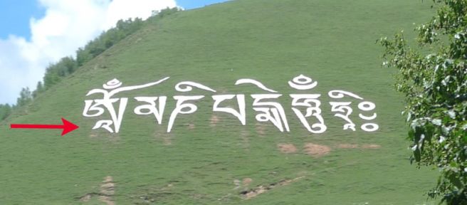 ��� �̹���