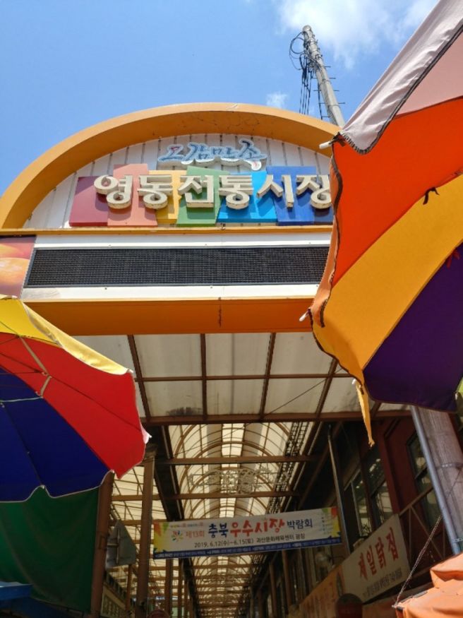 충북 영동시장 맛집 한미손칼국수