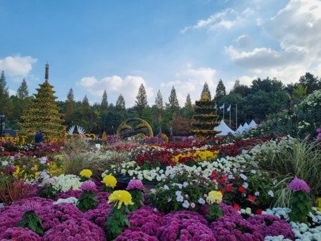 🚗 2026 익산 가볼만한곳 1박 2일 여행코스 총정리 (국화축제·코스·맛집·주차)