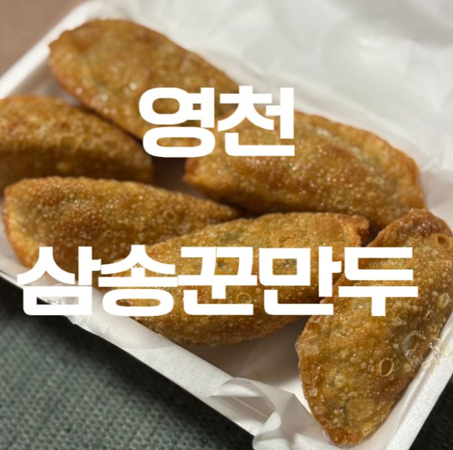 [영천 맛집 추천] 삼송꾼만두