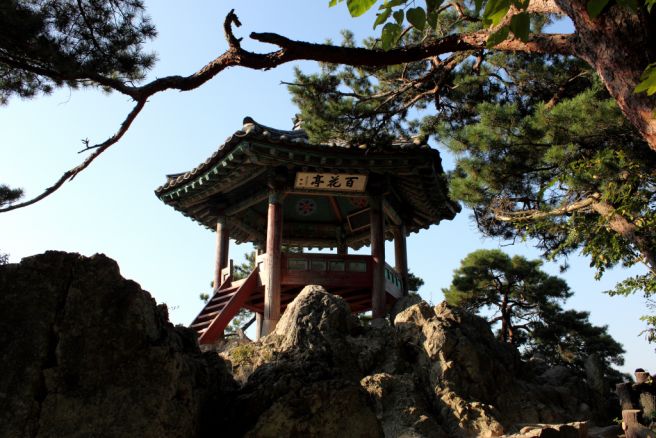 백화정 이미지