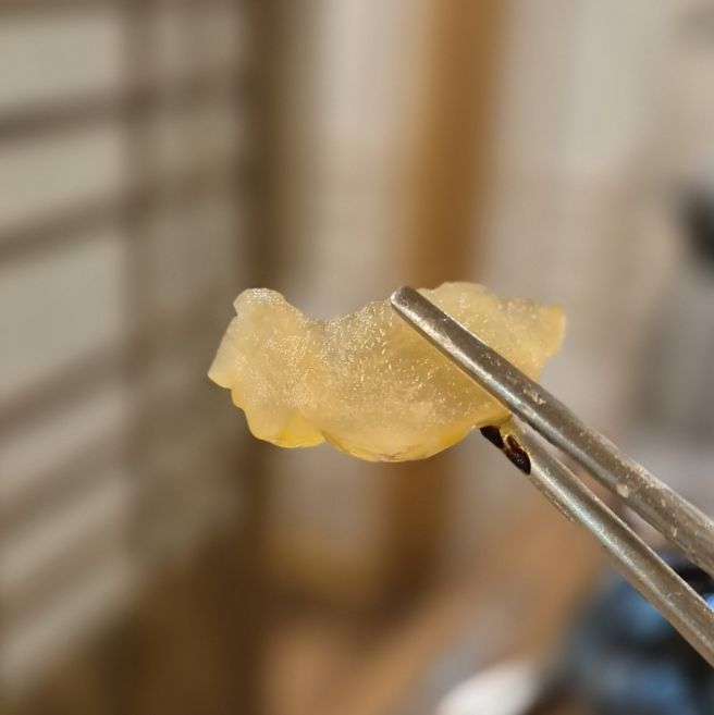 순천 부모님 모시고 식사하기 좋은 한정식 맛집 향토정