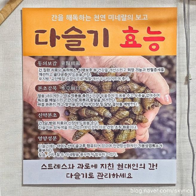 [충북 영동군 맛집] 일미식당 올갱이국밥:⚡️시원 국물에 부드러운 꼬득함 폭발! 현지인 시장맛집
