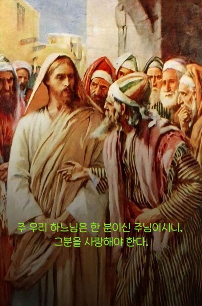 뷰어 이미지