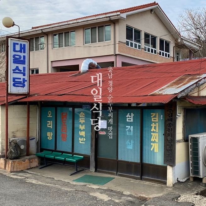 충남 청양맛집 대일식당 순두부찌개 솔직후기