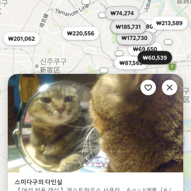 결말이 명확하게 정해져 있는 소설처럼 살고 싶었지만