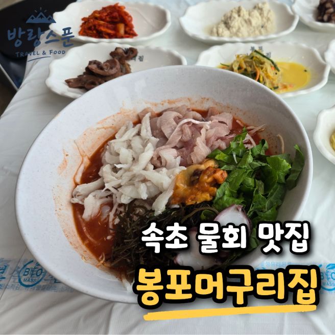 속초 맛집 봉포머구리집, 속초 바다를 보며 즐기는 모둠물회