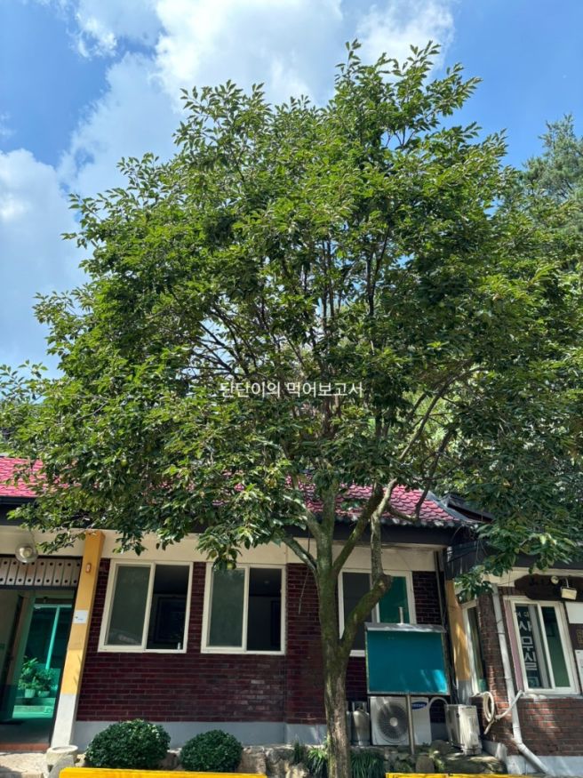 북한산 우이동 초입에 있는 백숙전문점 초가집