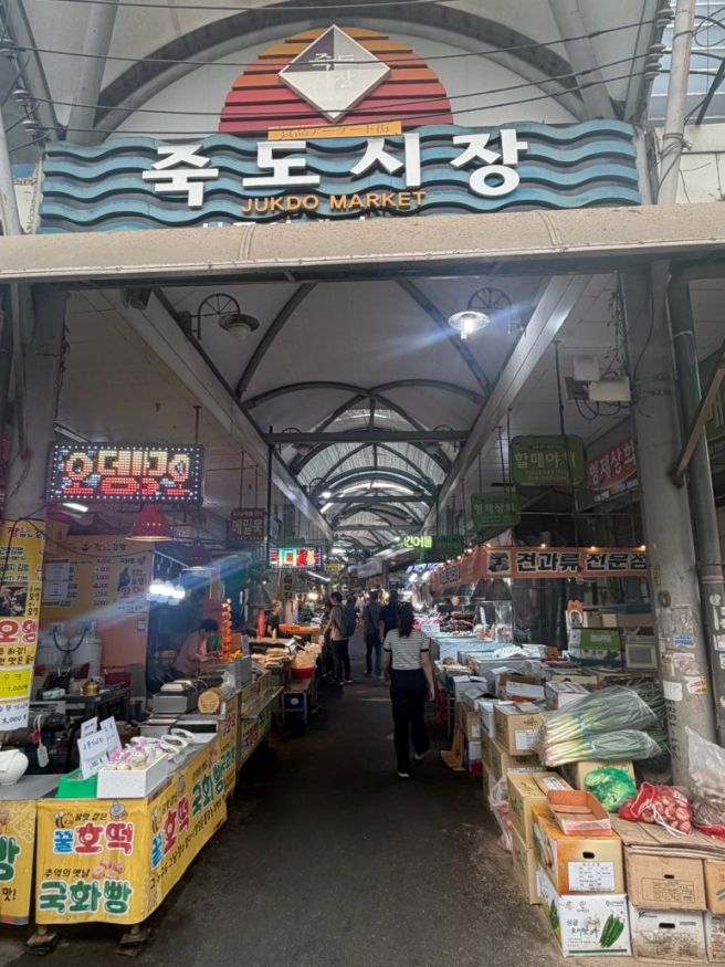 포항 북구 죽도시장 칼제비 맛집 행복식당 착한 가격에 인심 넘치는 수제비 골목