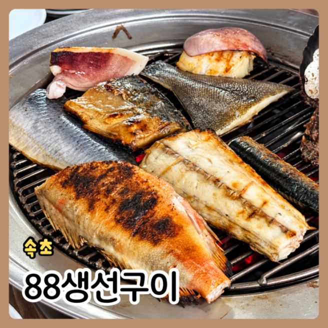 현지인맛집 속초 88생선구이 가격 웨이팅 총정리, 직원이 직접 구워주는 생선구이 후기
