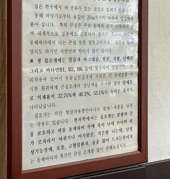 강원.양양 동호해변 맛집 섭국,섭장칼국수 오산횟집