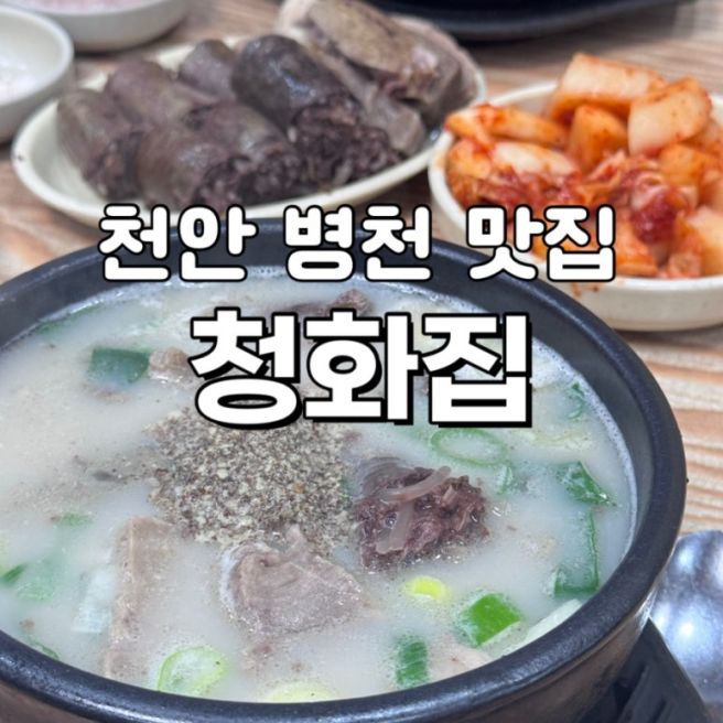 천안 병천 순대 [청화집] 내돈내산 뒤집어지게 맛있는 순대국밥/ 천안맛집/ 서이추환영/ 천안 맛집 추천