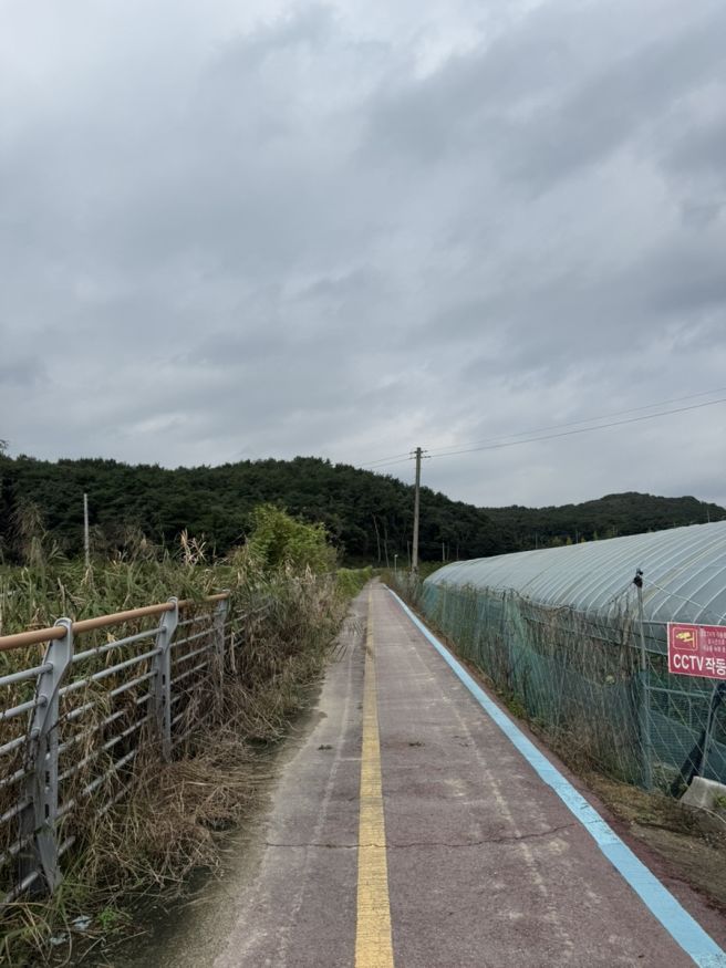 여주송어 여주여강길6코스 왕터쌀길 걷다 만난 남한강송어횟집