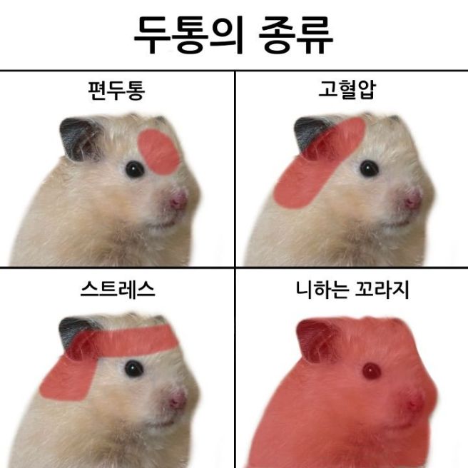 50년 넘은 연대생들의 미팅성지 신촌 [독수리 다방]