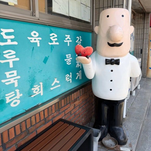 포항여행 포항맛집 죽도시장맛집 현지인추천맛집 "고바우식당" 내돈내산 솔직후기 (주차, 웨이팅)