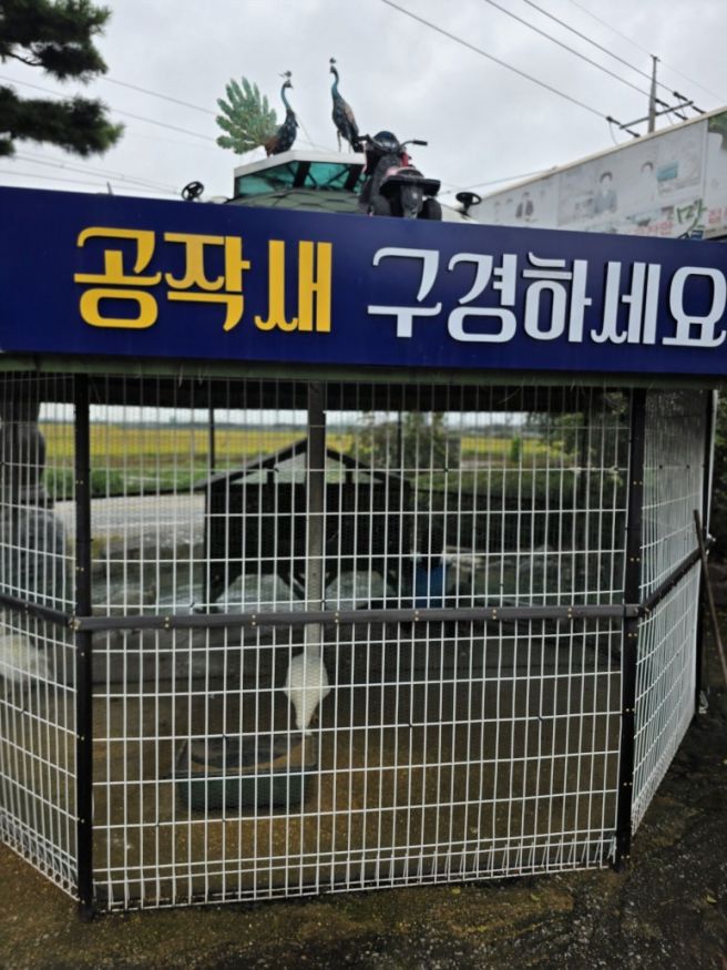 <충남아산 장어 맛집> 옛날돌집민물장어...