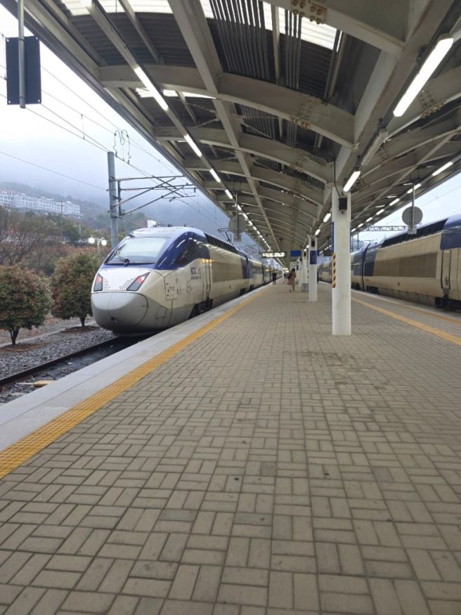 [서울] 아람소리보청기, 분식집 오리지날 이대본점, 카페 미네르바