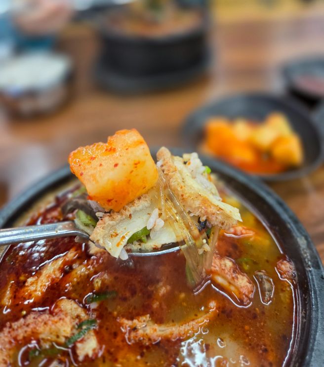 제주시 조천읍성시경 먹을텐데 해장국 맛집 함덕골목 본점 웨이팅 주차 정보